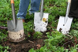 Three shovels in dirt in garden 