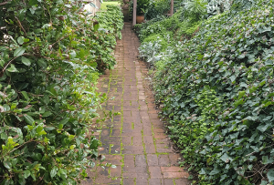 access path for rainwater tank at Leawood, SA